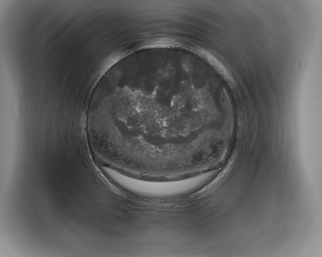 X0000116861329200912221131