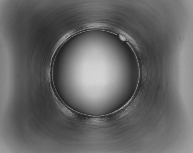 X0000116861330200912221131