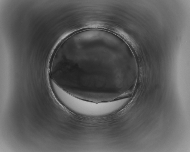 X0000116861331200912221131