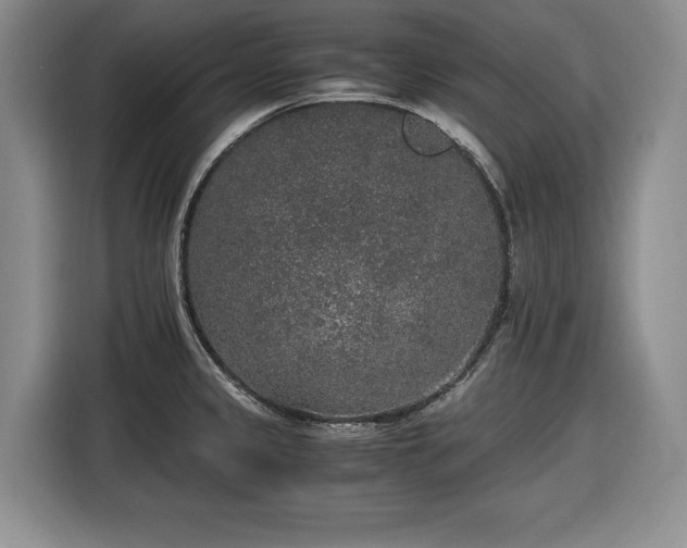 X0000116861333200912221131