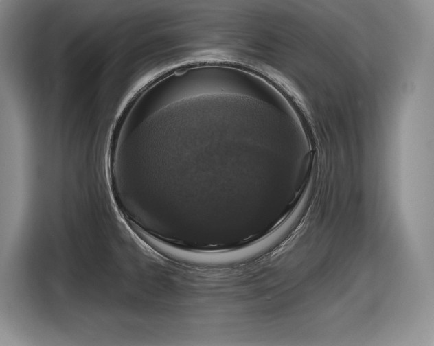 X0000116861334200912221131