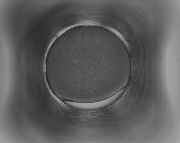 X0000116861335200912221131