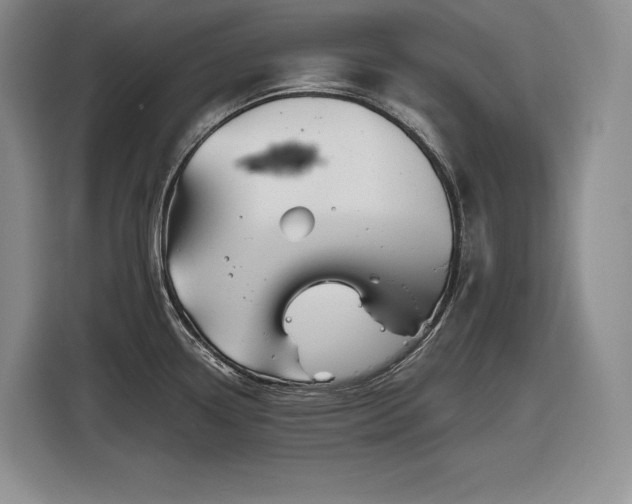 X0000116861338200912221131