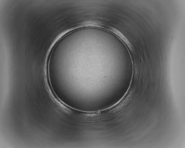 X0000116861339200912221131