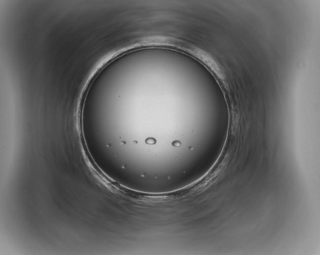 X0000116861342200912221131