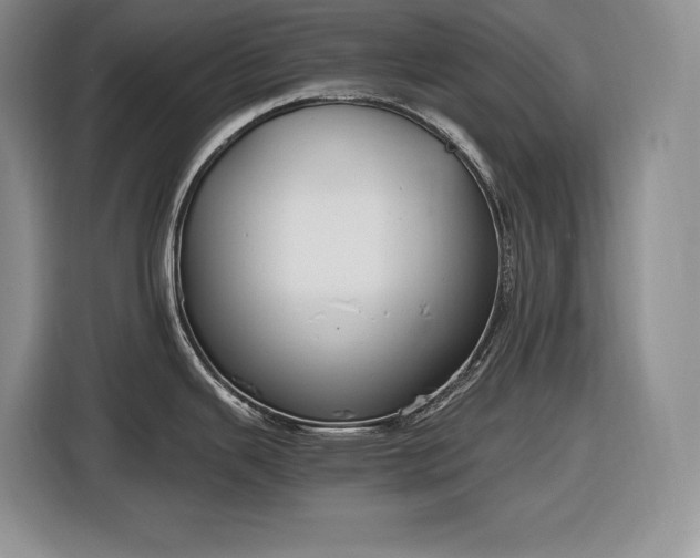 X0000116861343200912221131