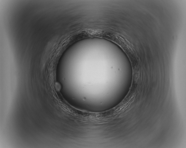 X0000116861345200912221130