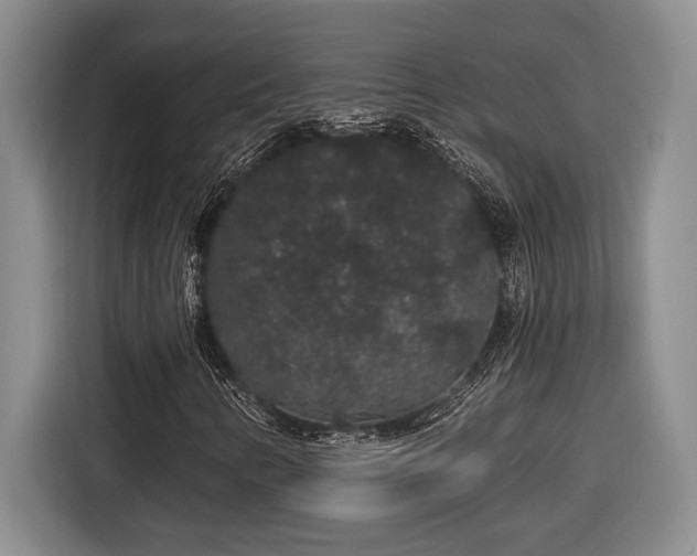 X0000116861346200912221130