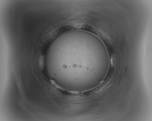 X0000116861347200912221130