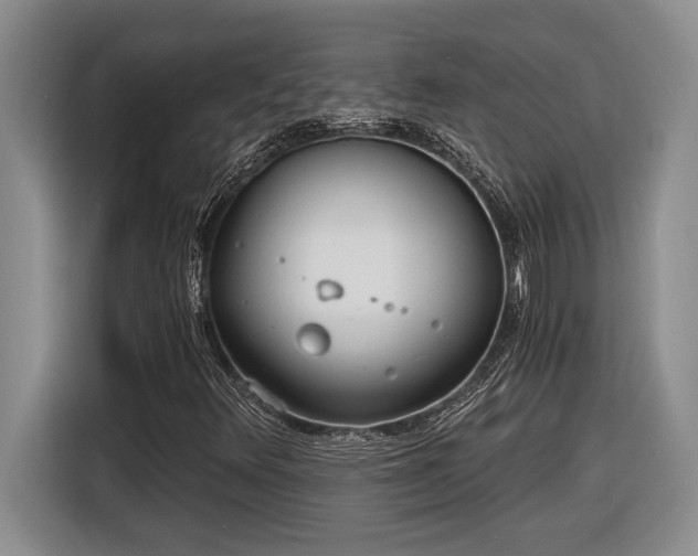 X0000116861348200912221130