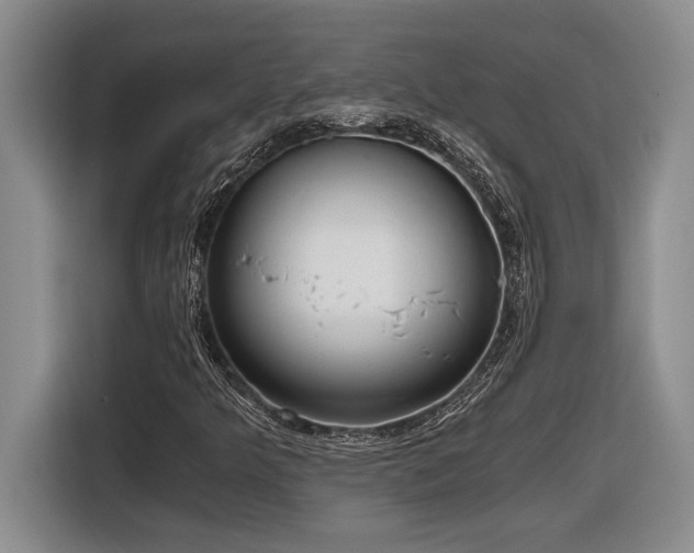 X0000116861349200912221130