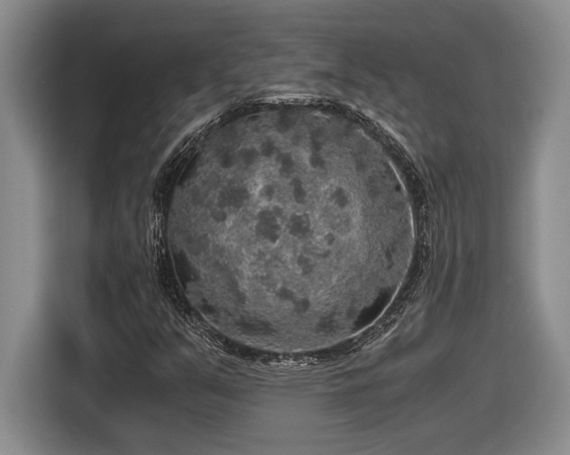 X0000116861351200912221130