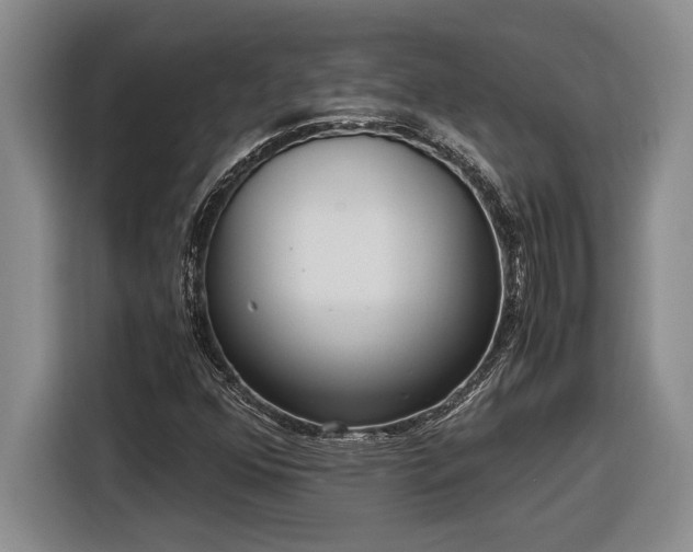 X0000116861352200912221130