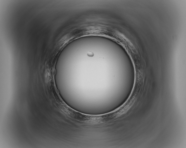 X0000116861353200912221130