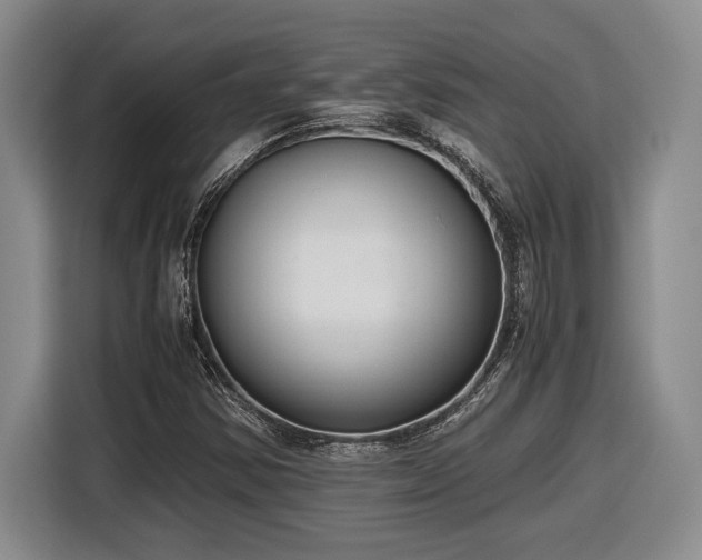 X0000116861354200912221130
