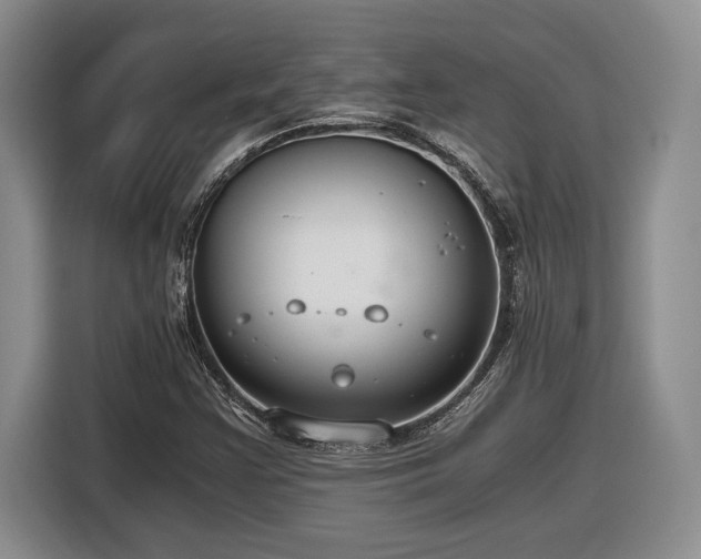 X0000116861355200912221130