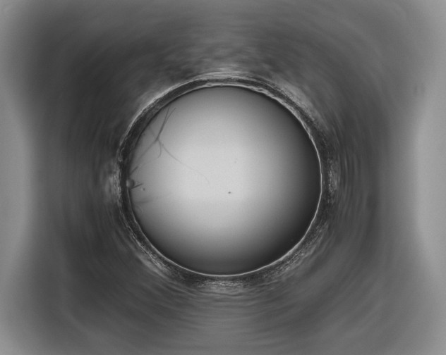 X0000116861356200912221130