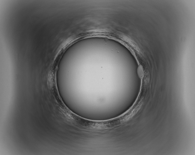 X0000116861357200912221130