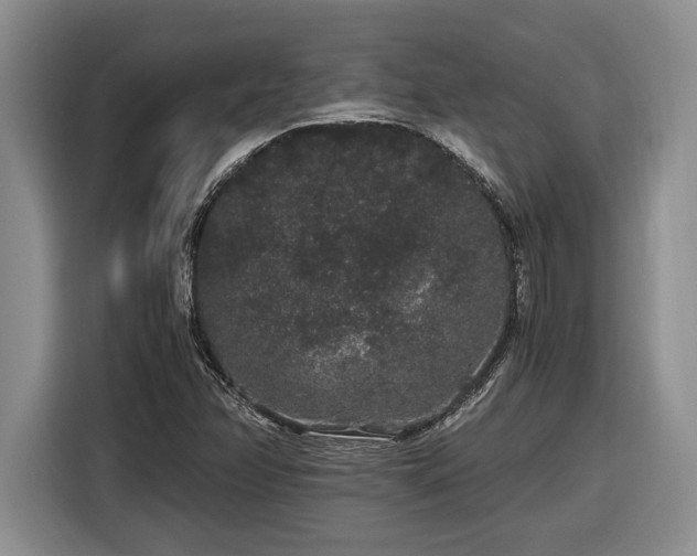 X0000116861358200912221130
