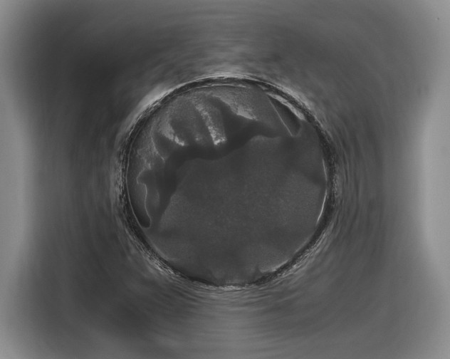 X0000116861359200912221130