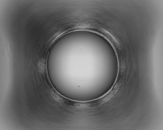 X0000116861361200912221130