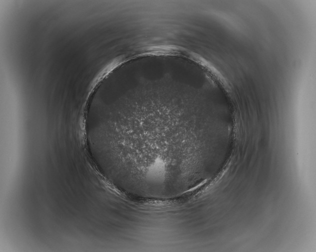 X0000116861362200912221130