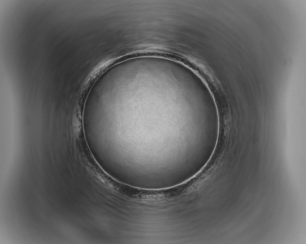 X0000116861363200912221130