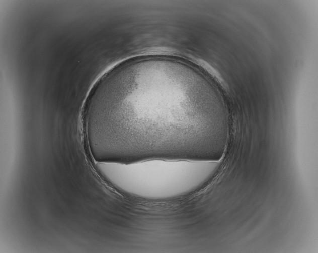 X0000116861364200912221130
