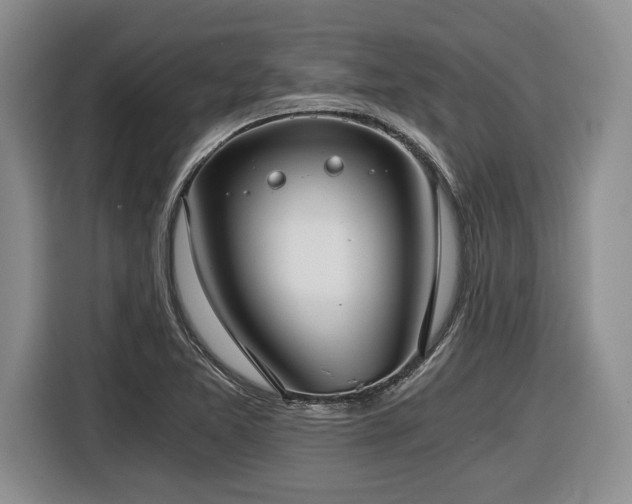 X0000116861365200912221130