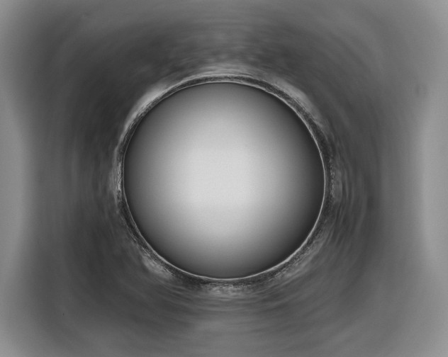 X0000116861366200912221130