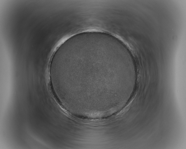 X0000116861367200912221130