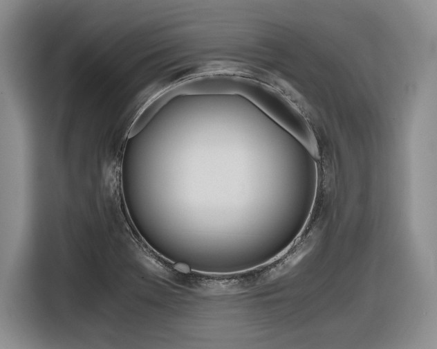 X0000116861369200912221130