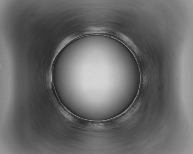 X0000116861370200912221130