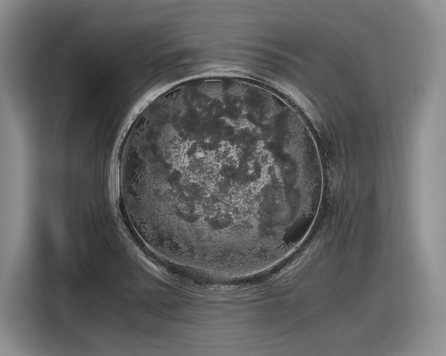 X0000116861371200912221130