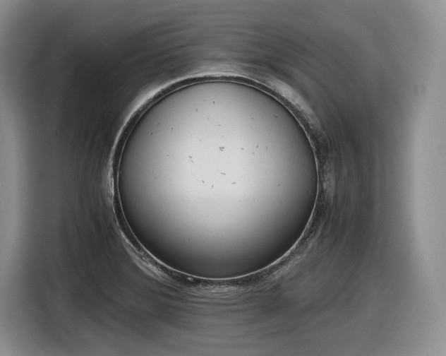X0000116861372200912221130