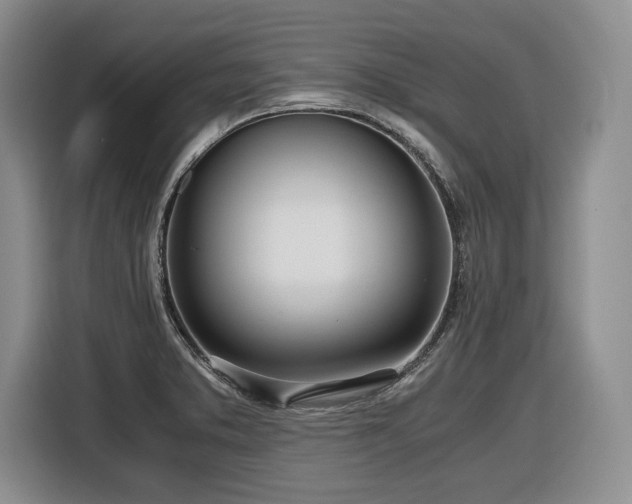 X0000116861373200912221130