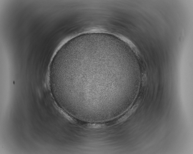 X0000116861374200912221130