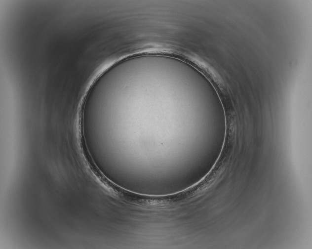 X0000116861375200912221130