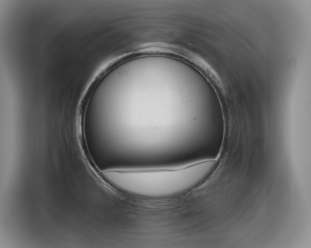 X0000116861376200912221130
