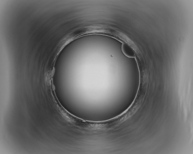 X0000116861377200912221130