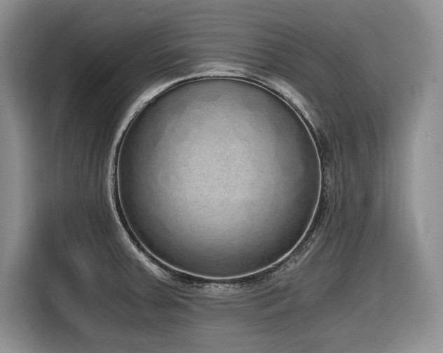 X0000116861379200912221130
