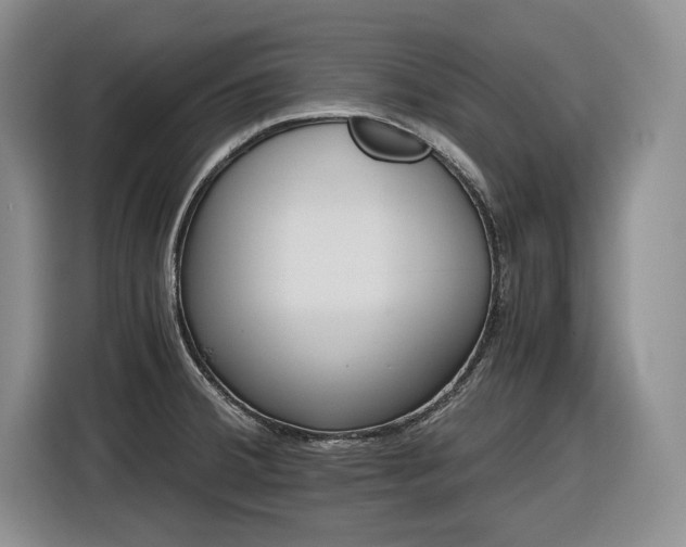 X0000116861380200912221130