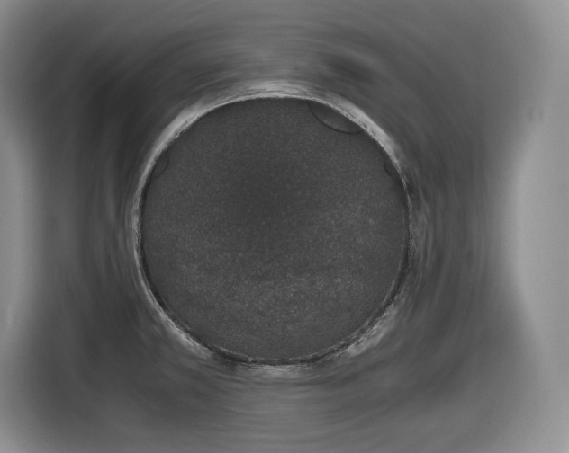 X0000116861381200912221130