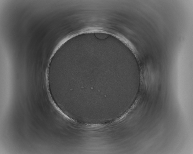 X0000116861382200912221130
