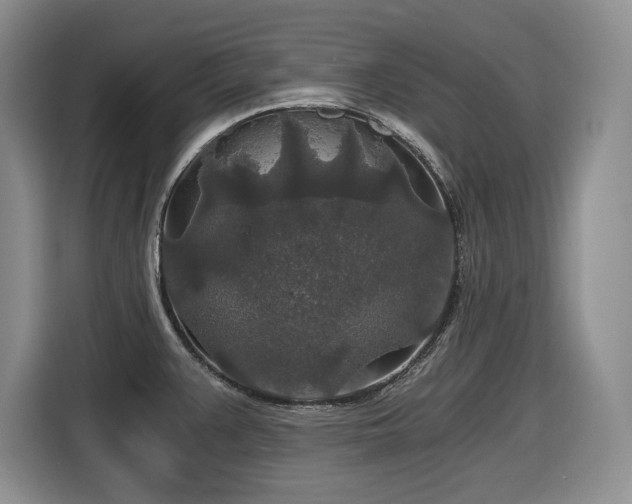 X0000116861383200912221130