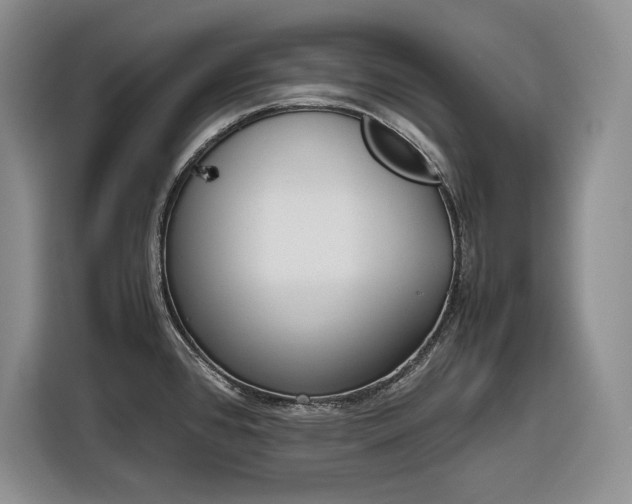 X0000116861384200912221130