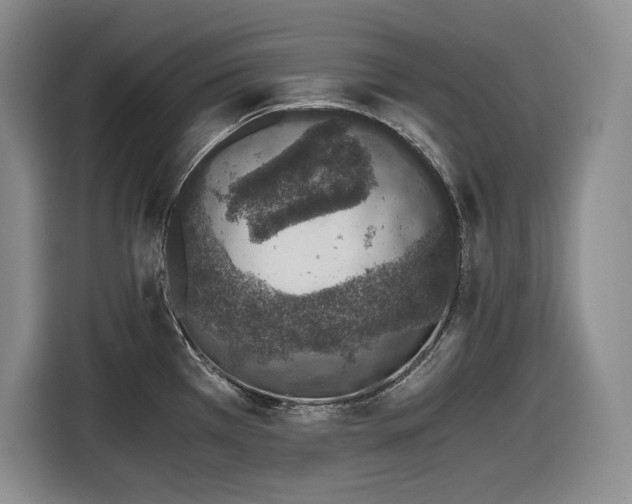 X0000116861385200912221130