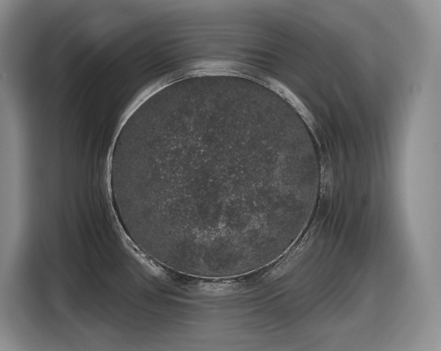 X0000116861386200912221130