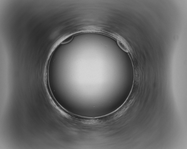 X0000116861387200912221130