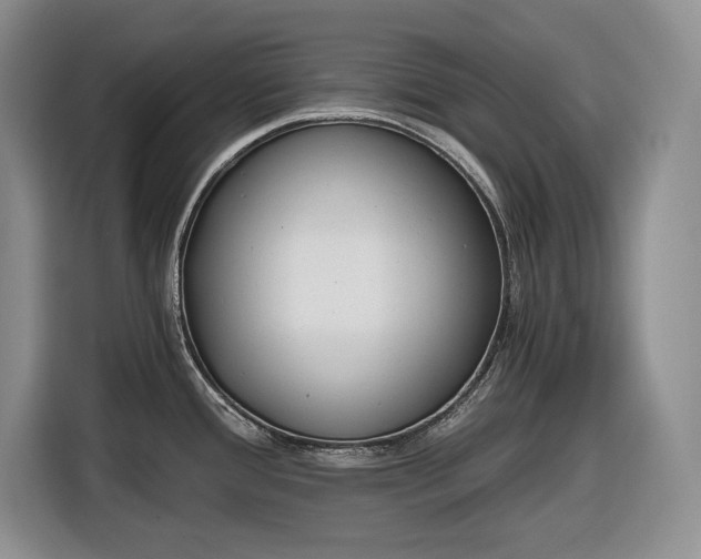 X0000116861388200912221130